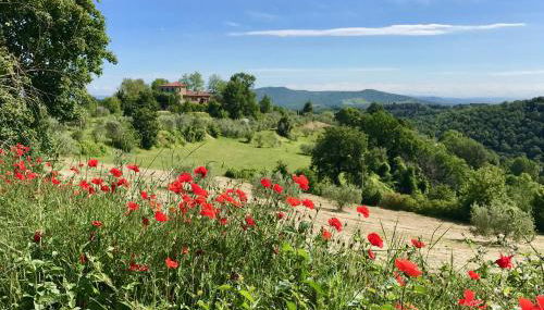 Grove Cottage: Immersed in nature & close to town - Foto 4