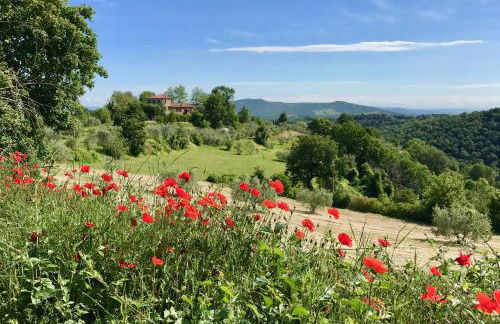 Grove Cottage: Immersed in nature & close to town - Photo 4