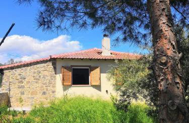 Campus Verde - Foto 19