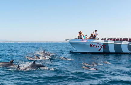 Apartamento AH - Foto 25