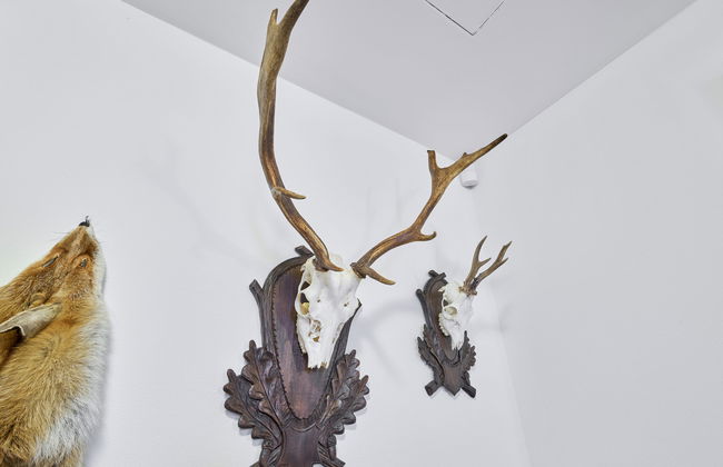 Mazurova chalupa - Foto 29