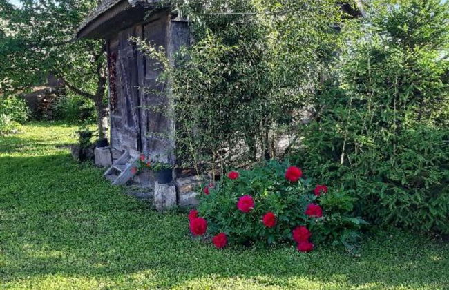 Apartment Čeliković - Foto 19