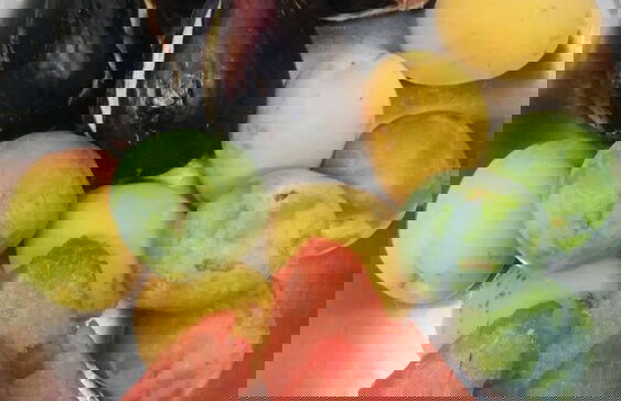 Agriturismo La Vecchia Fontana - Photo 51