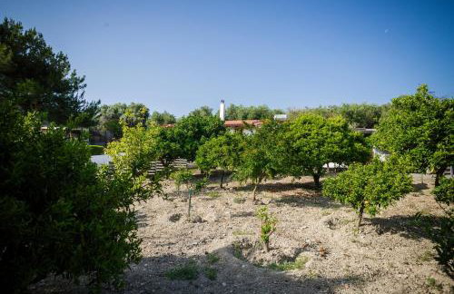 Villa Metochi - Foto 69