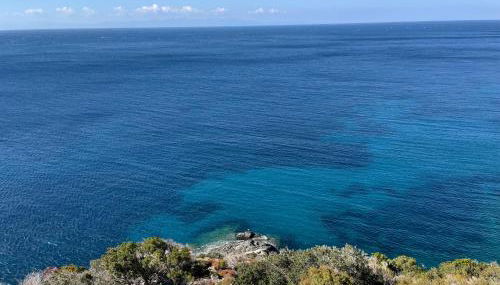 La Conchiglia - Foto 4