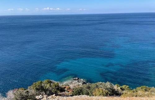 La Conchiglia - Foto 4