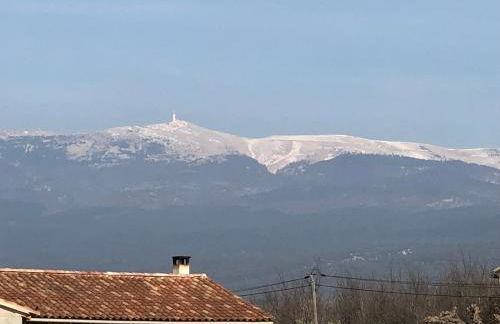 La Petite Reine - Foto 19