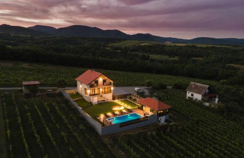 Vineyard Vila 01 by GREEN Croatia - Photo 20