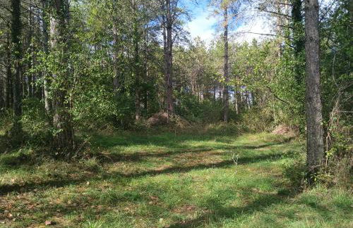 Les Gîtes de La Moure Basse - Foto 25