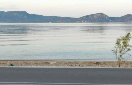 Modern house by the sea - Photo 10