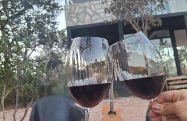 Casa Vértize, uma casa de alto padrão com Spa Hidro e vista espetacular - Foto 27