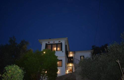 Afissos View - Foto 33