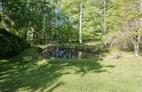 Winona's Retreat - Foto 37