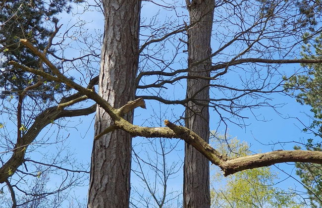 Rustic Holiday Home in Asnæs near Sea - Foto 5