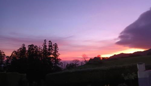 Quinta da Carlota - Photo 4