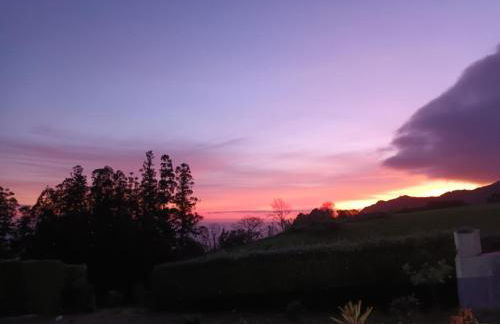 Quinta da Carlota - Photo 4