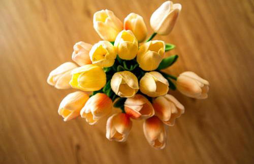 Le Piccole Duse - Foto 35