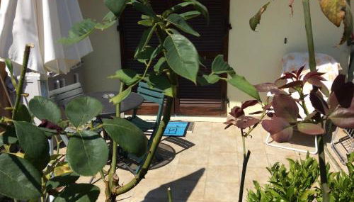 affitto appartamento sul mare - Foto 2