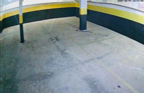 Espaço Zen - Equilíbrio da Alma - Foto 20