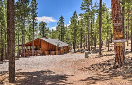 Hike, Bike and Ski, 12 Mi to Slopes Serene Cabin - Foto 29