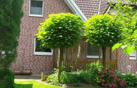 Ferienwohnung Exoten-Paradies im Garten Seggewiß - Tierfreie Nichtraucherwohnung in Raesfeld, Kreis Borken - Foto 21