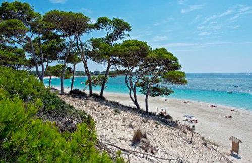 Aparthotel Isla de Cabrera - Foto 34