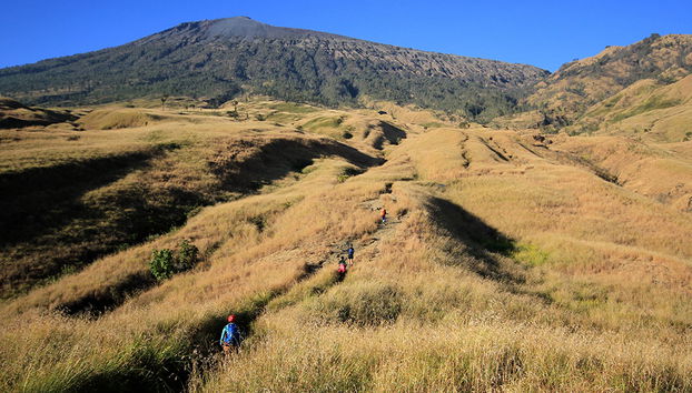 Meio Dia nas Colinas e Terraços de Arroz - Tour Privado - Foto 4