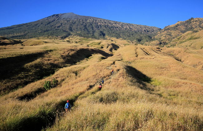 Meio Dia nas Colinas e Terraços de Arroz - Tour Privado - Foto 4