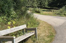 Haus Porsche - Foto 32