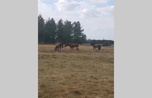 Villa Monplaisir 82 - Foto 27