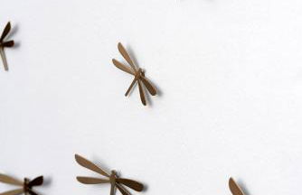 1812 Caves 'n Mansion - Foto 73