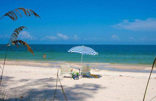 Paradise Gem - Foto 45