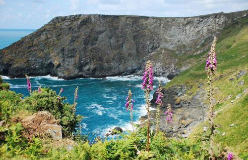 St Edwards Cottage, Tintagel - Foto 49