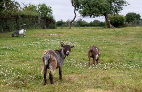 The Haybarn - Foto 20