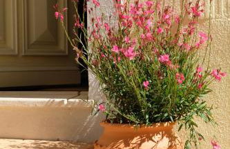 Yellow House - Checkinhome - Foto 71