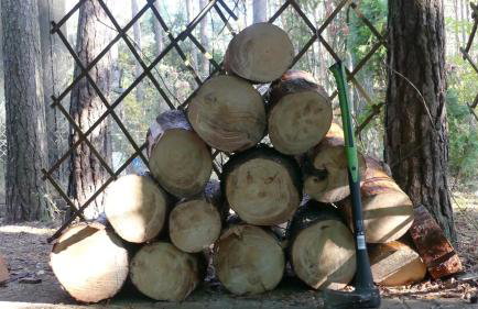 Przytulny domek w lesie blisko rzeki - Foto 12