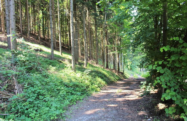 Cozy Apartment in Köttmannsdorf near Lake - Photo 38
