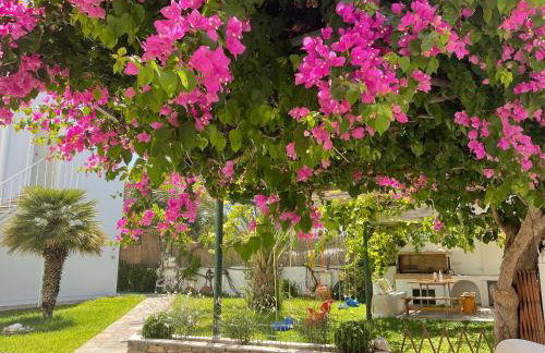 Rodia Studios & Apartments - Foto 30