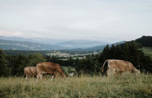 HEIMATEL - Altstadt-Maisonette mit Dachterrasse - Foto 29