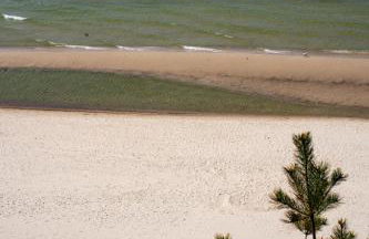 Willa Świerkowa - Foto 22