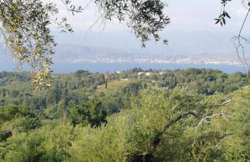 Olive Grove Deluxe apartment - Foto 43