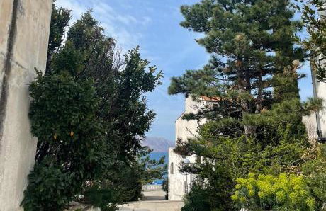 Studio apartman Pepi - Photo 6