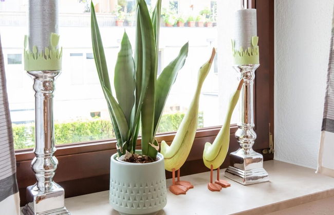 Well-kept Apartment in a Central Location - Foto 50