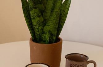 Langi Apartments - Foto 40