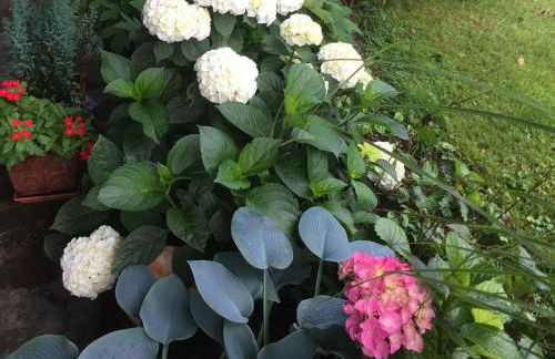 Haus Irmgard - Foto 7