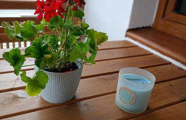 Sosnowy zakątek odpocznij tu - Foto 22