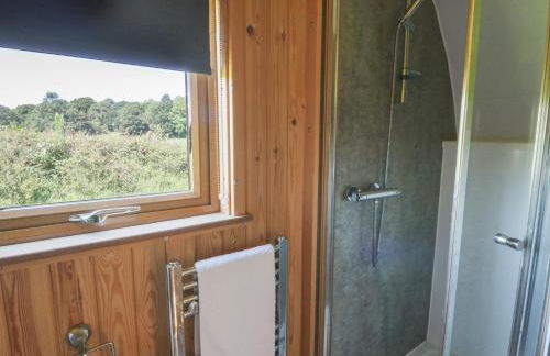 Bwthyn Bach Brefi - Photo 15