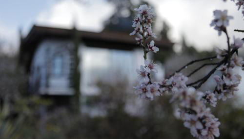 Panorama Suite El Mirador - Foto 3, Garden view