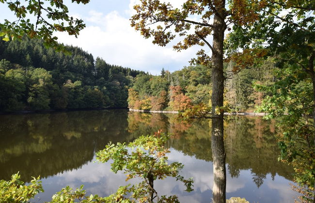 La Roche Riverside Mansion - Foto 51