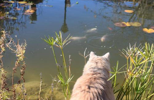 Antica Dimora - Foto 13